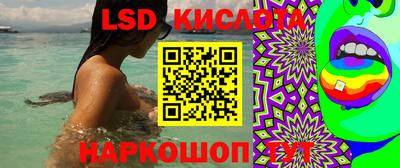 шишки Бузулук