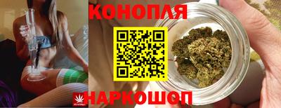 шишки Бузулук