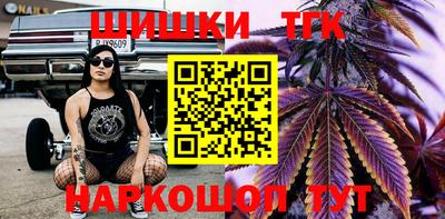 крисы Можга