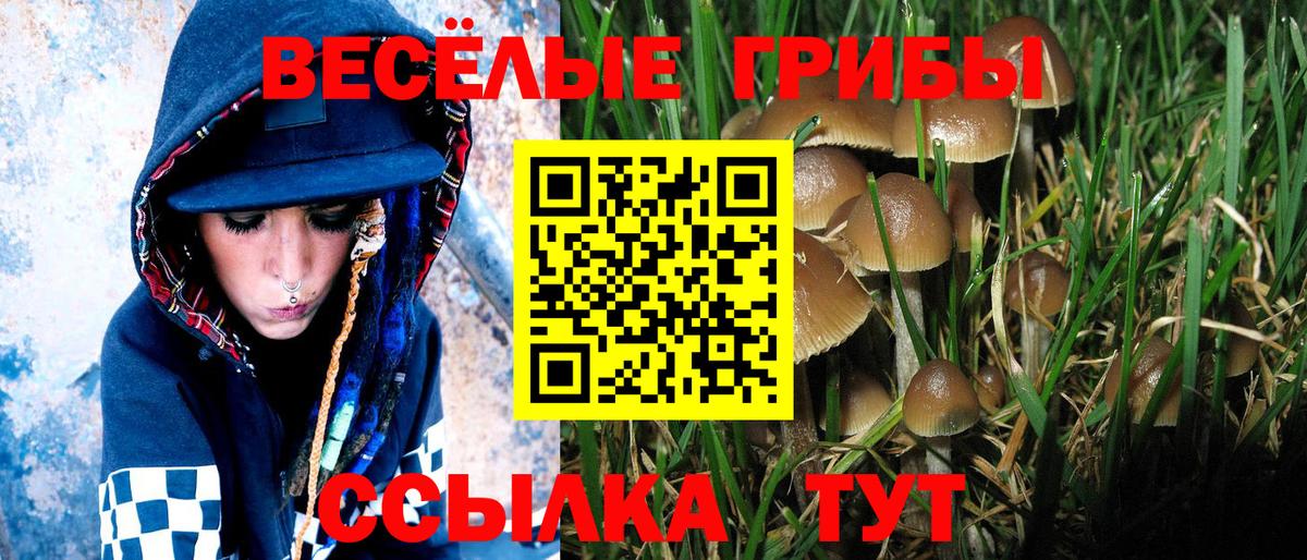 Галлюциногенные грибы Cubensis  Псилоцибиновые грибы Cubensis  даркнет сайт  Тихвин  Вход с VPN 