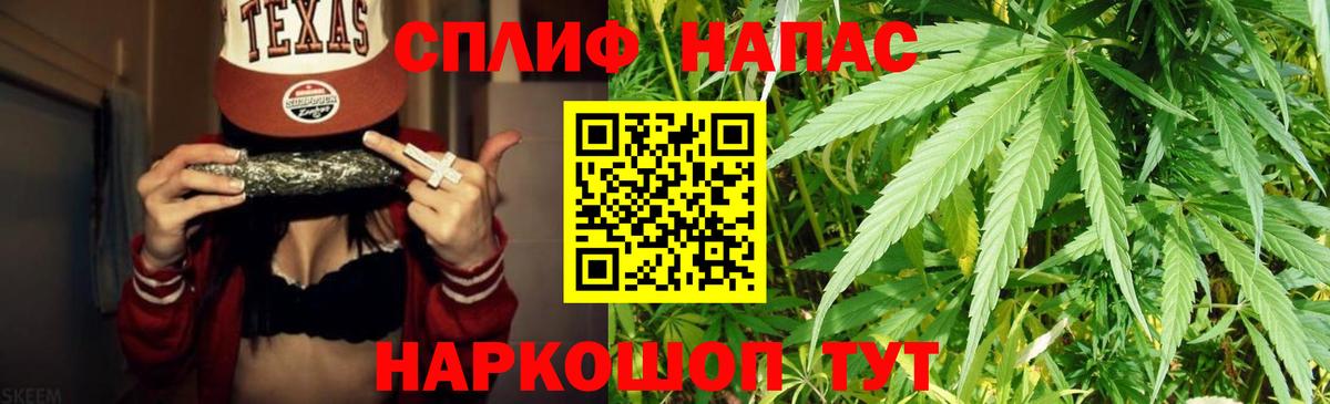 Каннабис сатива Тихвин